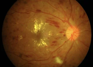 Capture-d’écran-2020-03-24-à-15.19.02